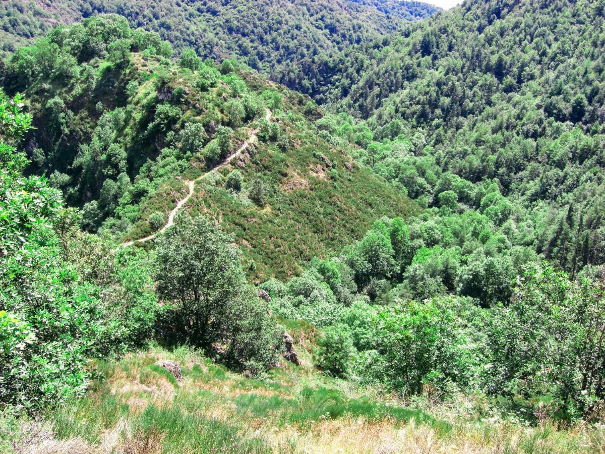 فيلا Le Bos Clard Félines المظهر الخارجي الصورة